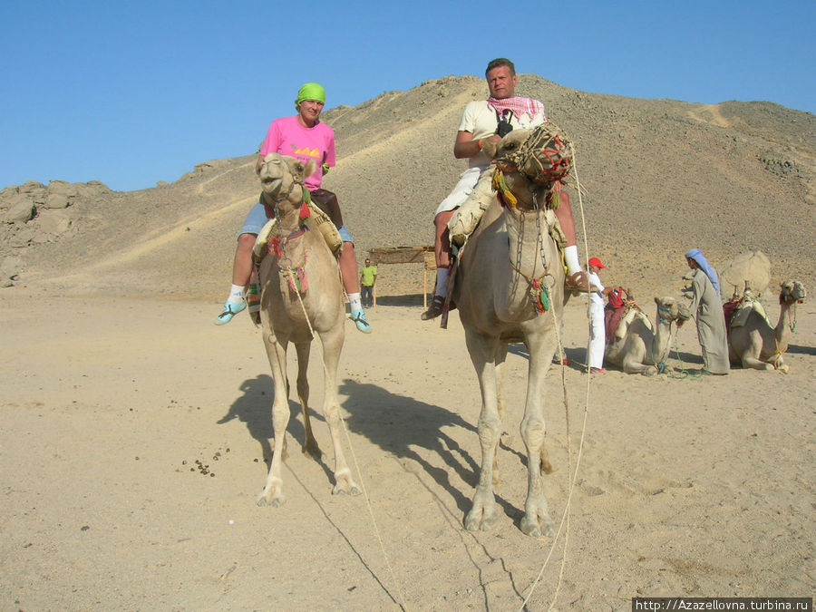 Экскурсия на квадроциклах, катание на кэмэлах Хургада, Египет