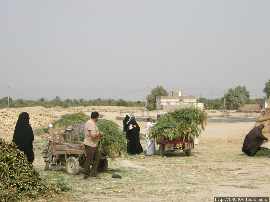 Тростниковый рынок Провинция Басра, Ирак