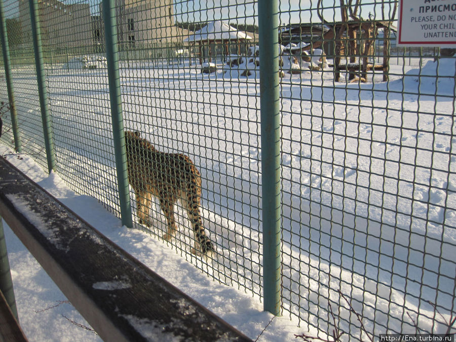Зоопарк Ярославля Ярославль, Россия