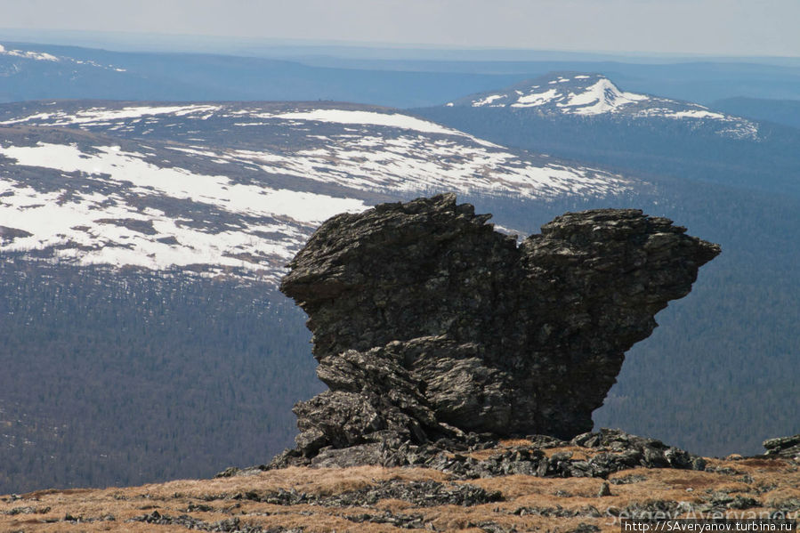 Останцы на плато Холотчахля Перевал Дятлова, Россия