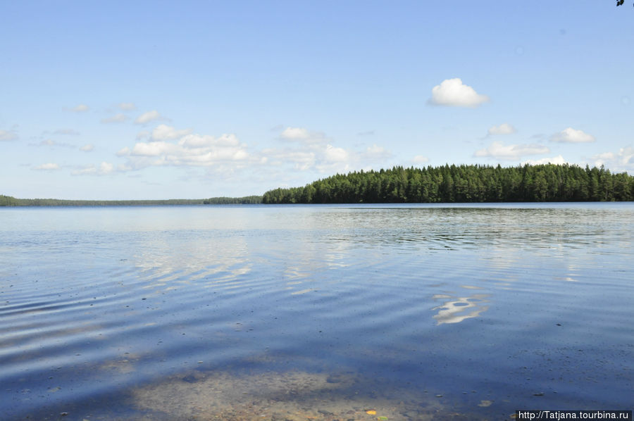 Белое озеро Кургальский заказник, Россия
