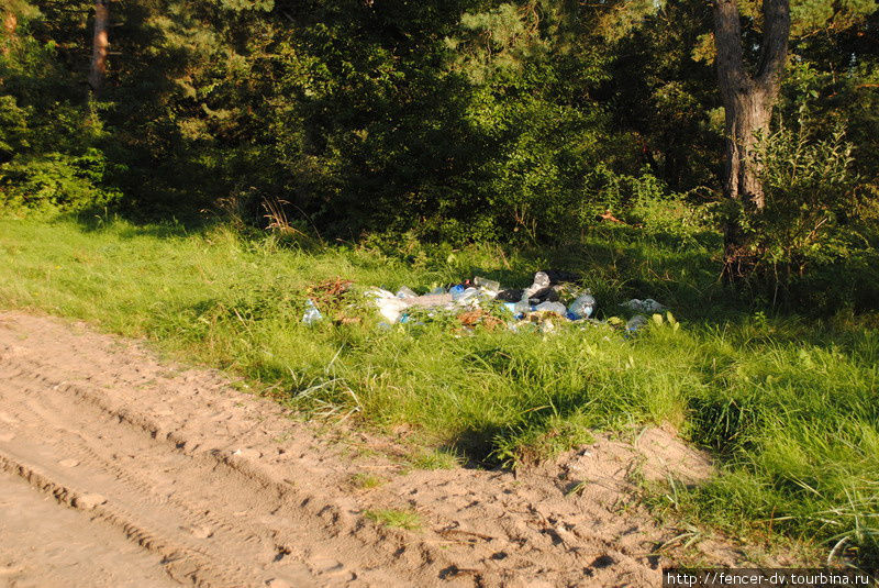 А вот кучи мусора остались еще с лета Калининградская область, Россия