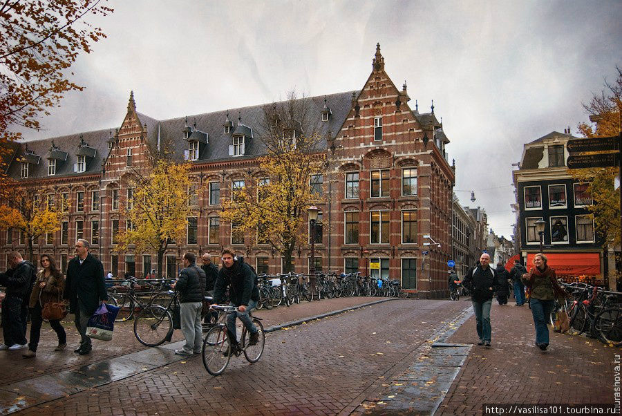 Золотая осень в Амстердаме, прогулки вдоль каналов Амстердам, Нидерланды
