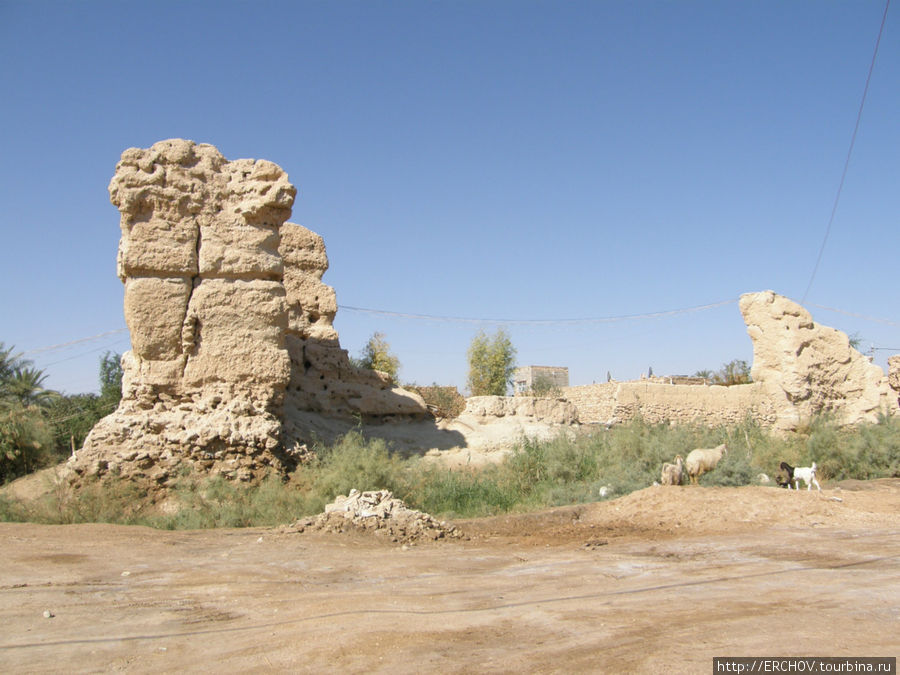 По древней Месопотамии    Ч 23 Крепость Ахевер и оазис Ваха Провинция Кербела, Ирак