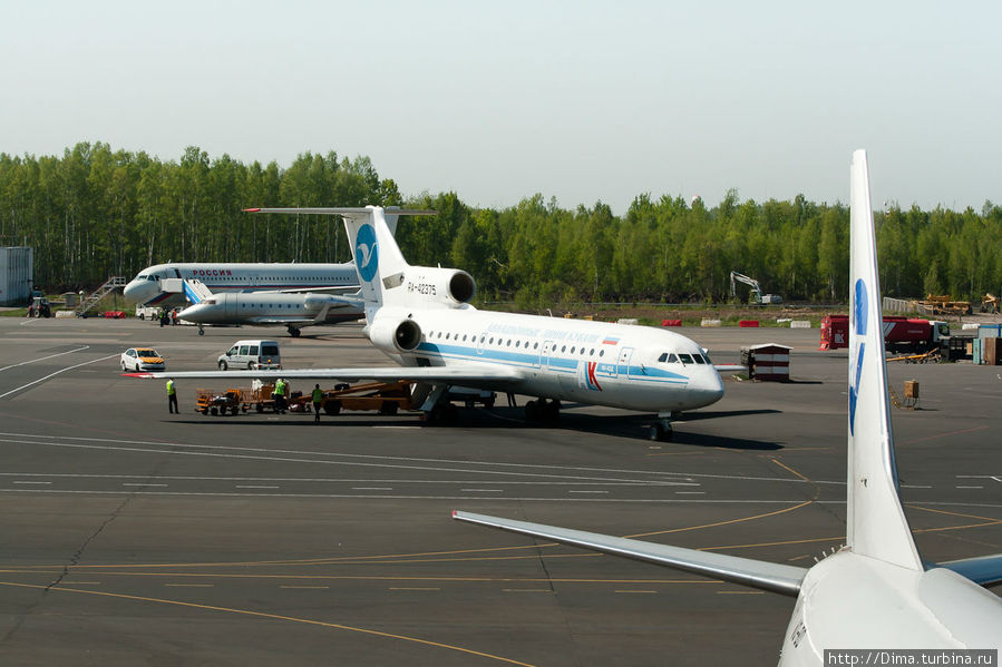 Самолет спб омск. Питер с самолета. Самолет СПБ МСК. СК самолет СПБ. СПБГУ самолет.