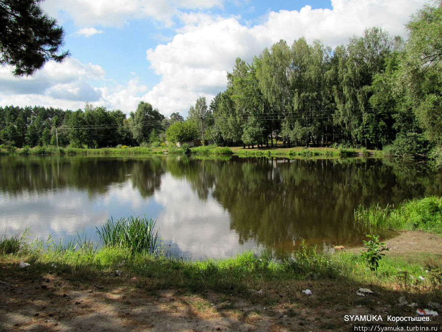 Красивейшее лесное озеро, с засоренными мусором берегами. Коростышев, Украина