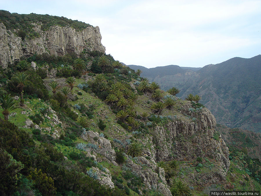 Национальный парк Гарахонай. Остров Ла-Гомера, Испания