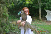 И сфотографироваться с крокодилом и древесной крысой, которую морят жаждой, чтобы она пила из банки. Кстати она очень мягенькая и приятная =)