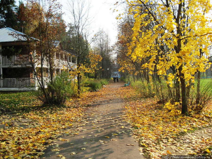 Дорожка к Голубому дому. Слева-справа находятся постройки санатория. Россия