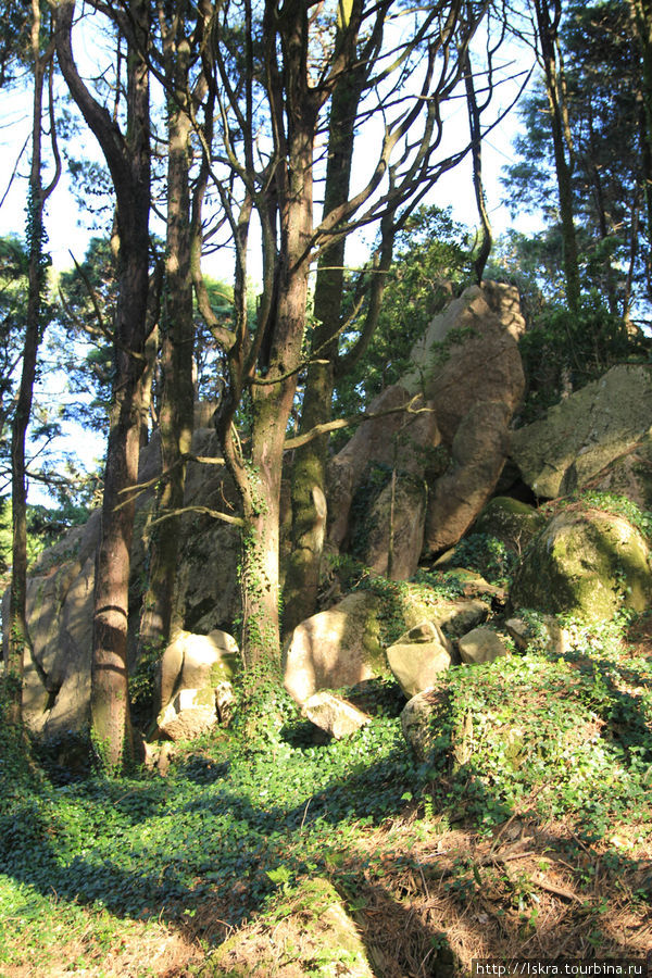 Парк Пена похож на тролличий лес. Синтра, Португалия