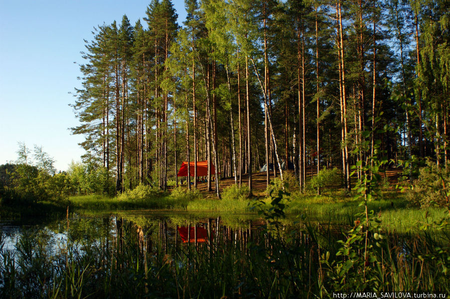 Палаточный лагерь — спутник Новгородская область, Россия