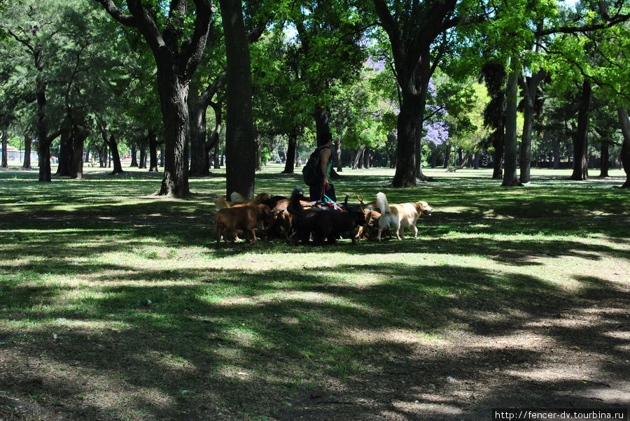 Японский сад по-аргентински Буэнос-Айрес, Аргентина