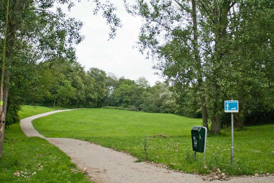 В Гааге парки представляют собой небольшие леса. Гаага, Нидерланды