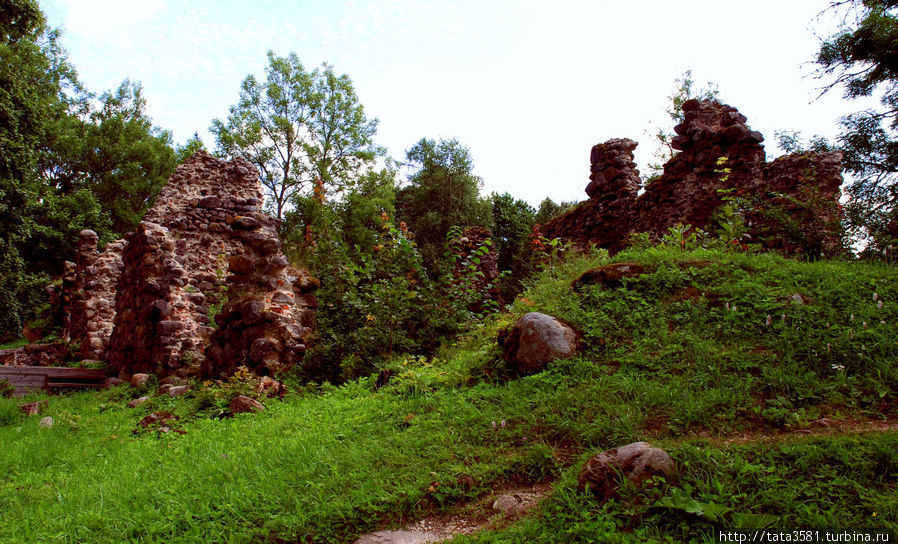Развалины рыцарского замка Хельме Хельме, Эстония