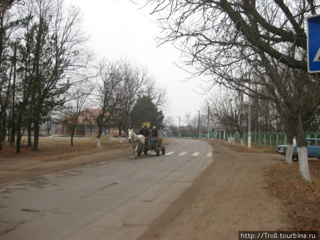 В таких местах чаще встретишь гужевой транспорт! Молдова