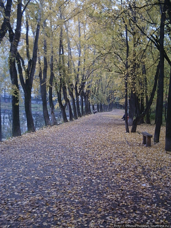 Екатеринбург золотой, Екатеринбург ледяной Екатеринбург, Россия