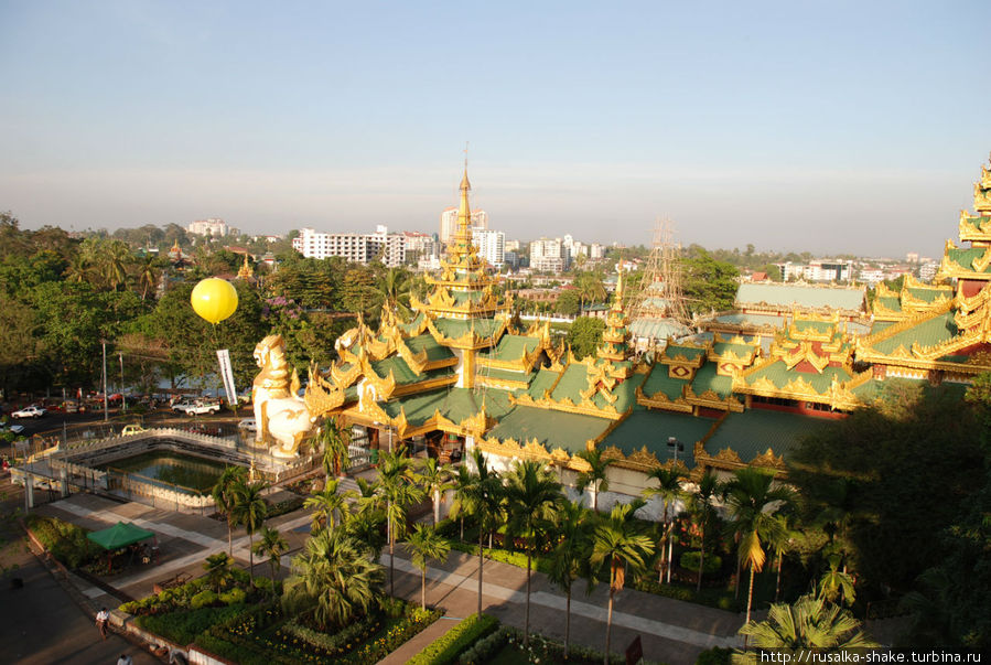 Белые чинтэ Янгон, Мьянма