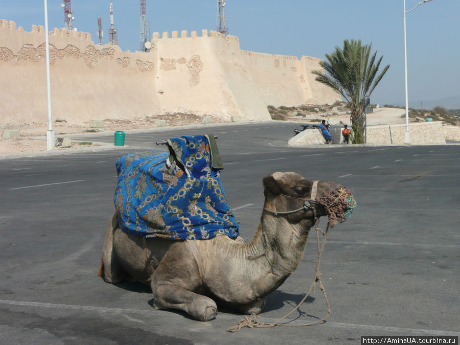 ждет туристов...работает Марокко