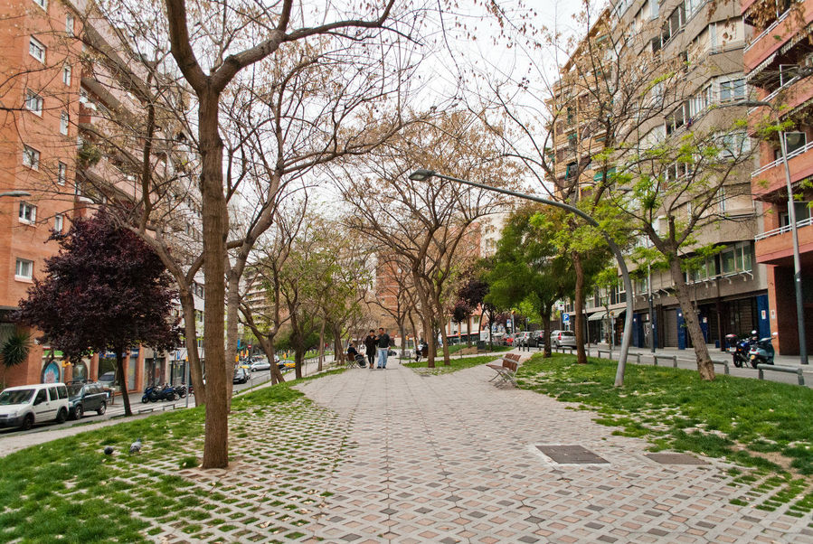 Множество улиц в Барселоне похожи на парк. Барселона, Испания