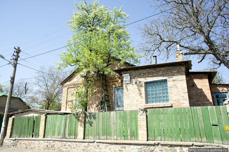 Уютные домики располагаются практически в центре города. Киев, Украина