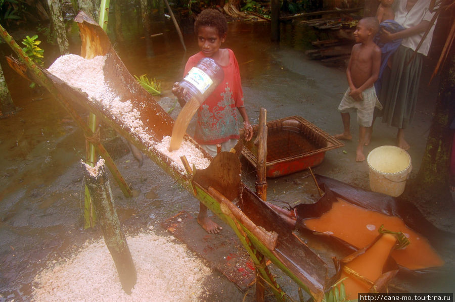После чего пальмовую стружку промывают водой. Вода просачивается через стружку, вымывая крахмал. Попадая на куски коры, играющие роль своеобразных фильтров, крахмал оседает на них. Как раз из этого крахмала и готовят сайго. Способов приготовления много. В этой деревне сайго пекут в форме лепешек. Провинция Галф, Папуа-Новая Гвинея