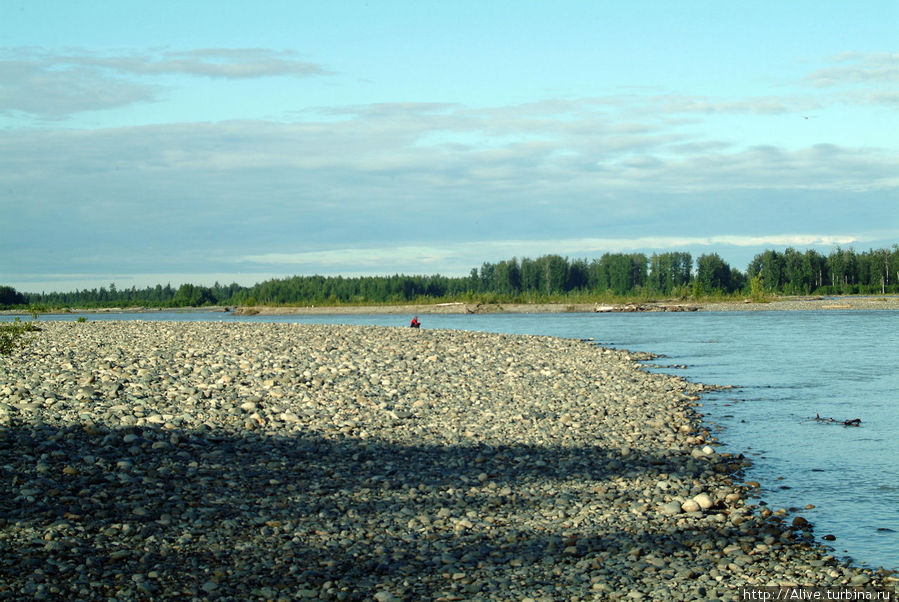 Река в окрестностях городка. Толкитна, CША