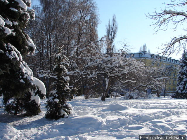 Заснежанными аллеями парка Киев, Украина