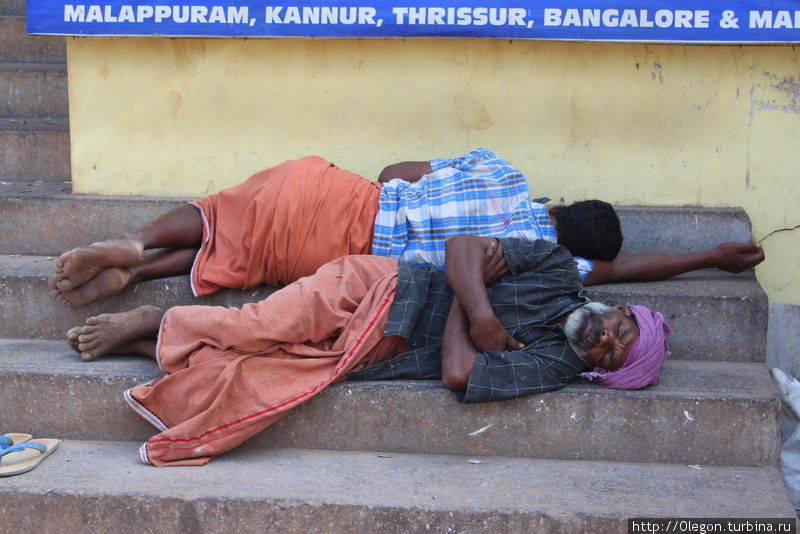 Забулдыг везде хватает, а поспать можно везде, на улице ведь всегда тепло Штат Керала, Индия
