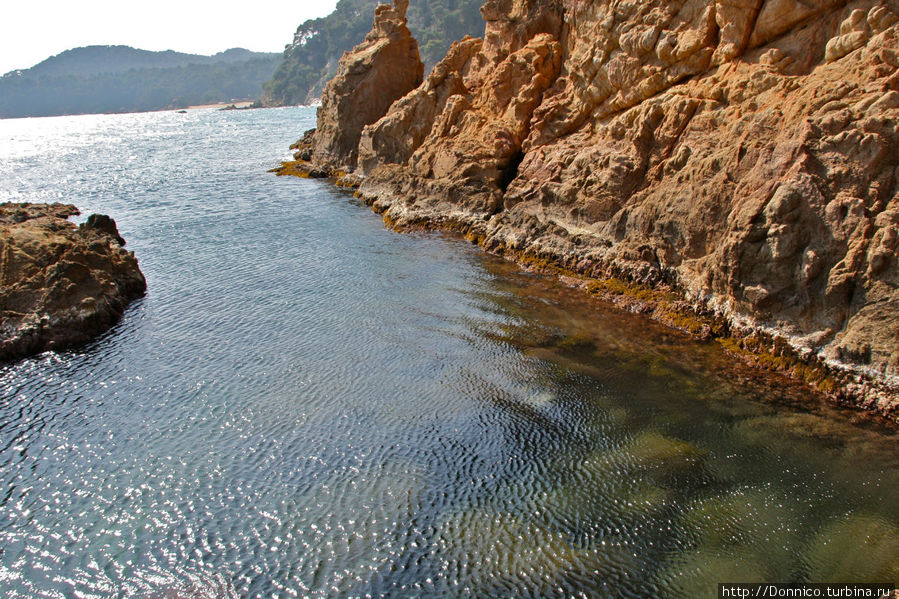 Решив сначала осмотреть остров с одинокой сосной, я двинулся к нему мимо красивого бассейна с тихой и невероятно чистой морской водой Ллорет-де-Мар, Испания