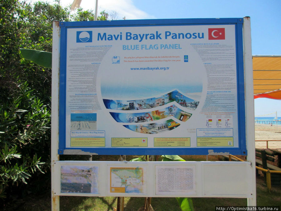 Голубой флаг за экологию присвоен пляжу отеля Голд Сити Махмутлар, Турция
