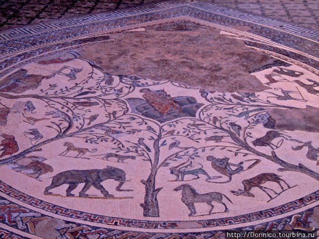 Волубилис — невероятный по красоте римский город Волюбилис (древний римский город), Марокко