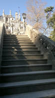 лестница ведущая ко входу во Дворец
