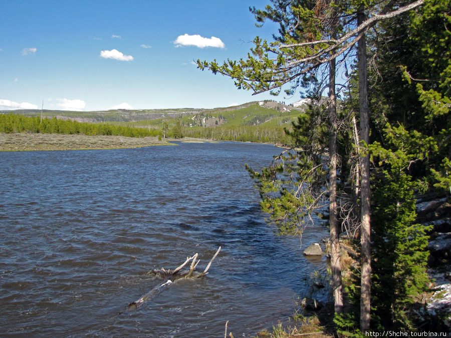 Река Мэдисон (Madison River) - 23 километра пути Йеллоустоун Национальный Парк, CША