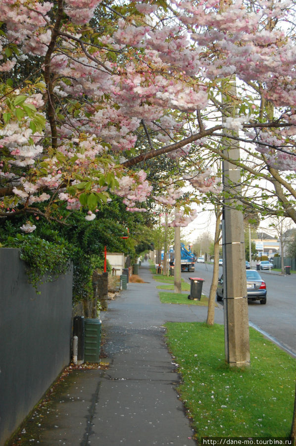 Весна Крайстчерч, Новая Зеландия