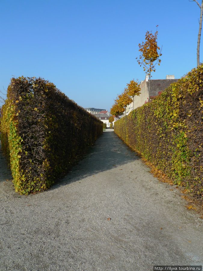 Осенний Бельведер Вена, Австрия