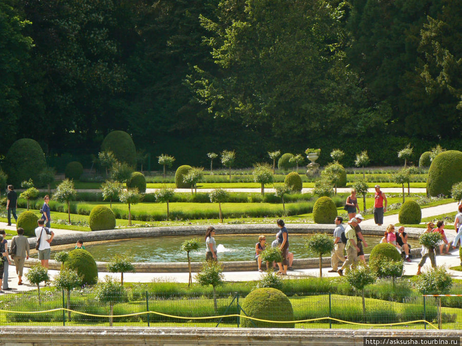 Сад Екатерины Медичи Шенонсо, Франция