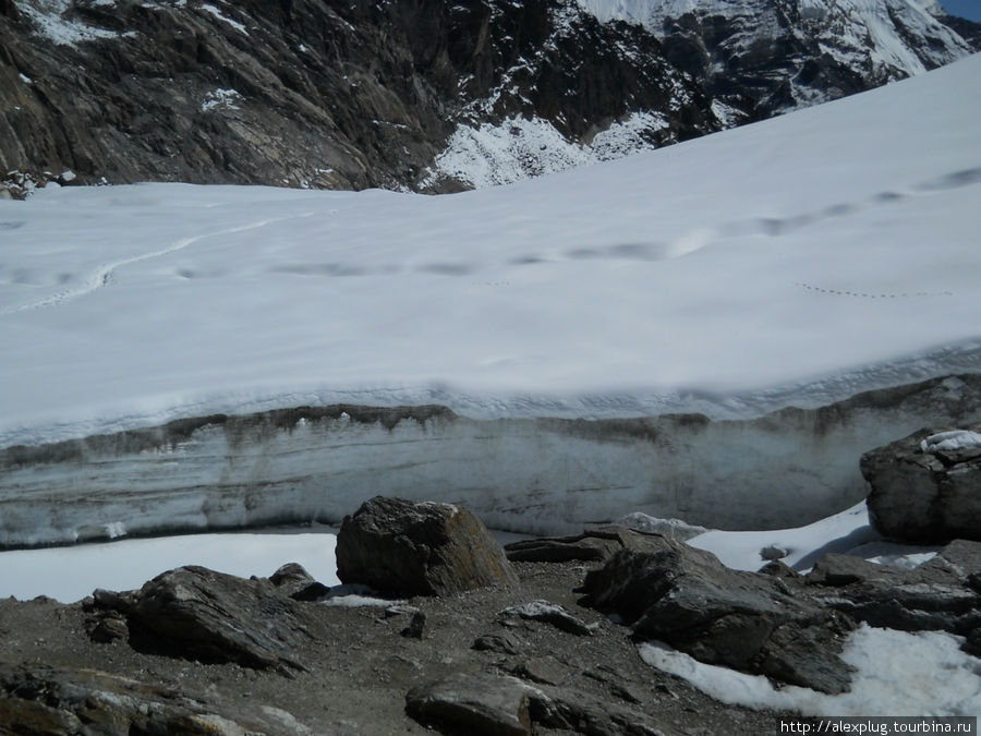 Ледник. 
Лежит... лежит... Ну як сало! Гокьо, Непал