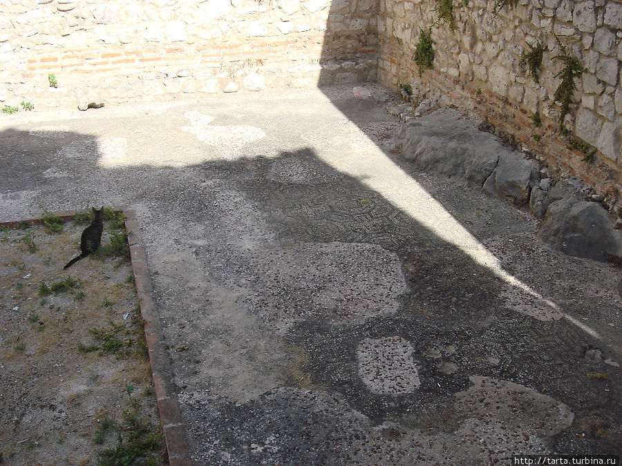 Остатки римской мозаики Сплит, Хорватия