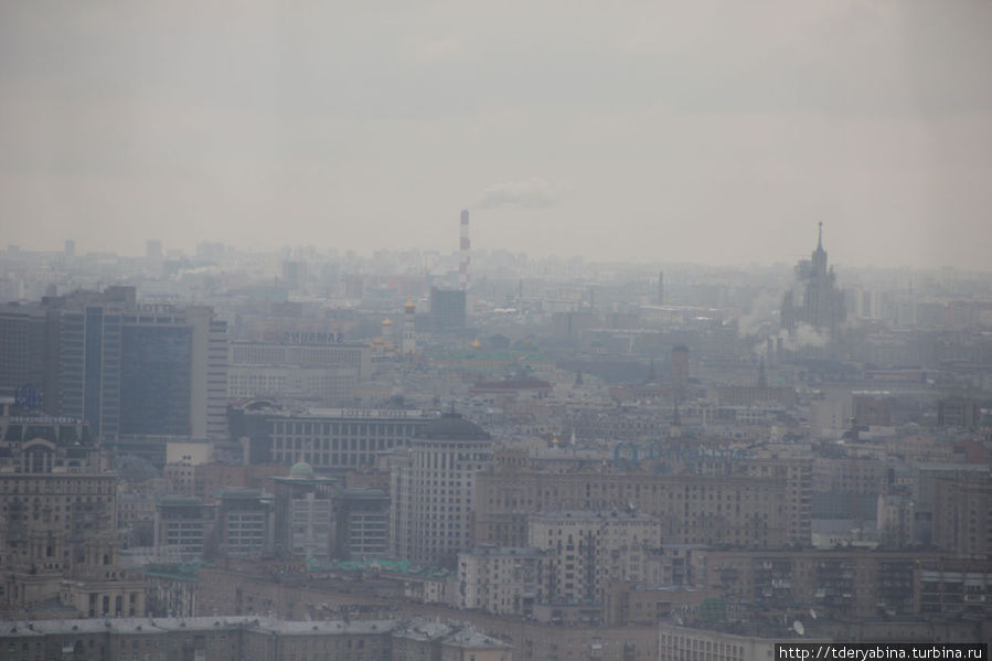 В центре фото виднеются главки церквей — это соборы московского Кремля Москва, Россия