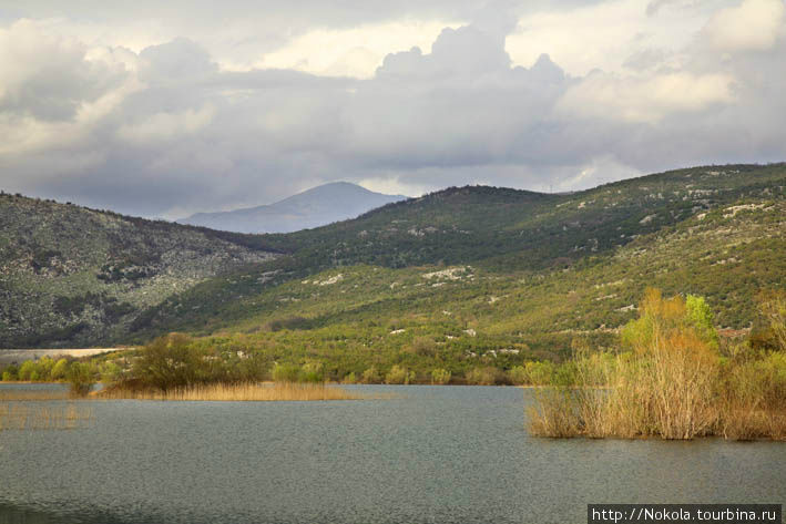 Вдоль Скадарского озера Область Подгорица, Черногория