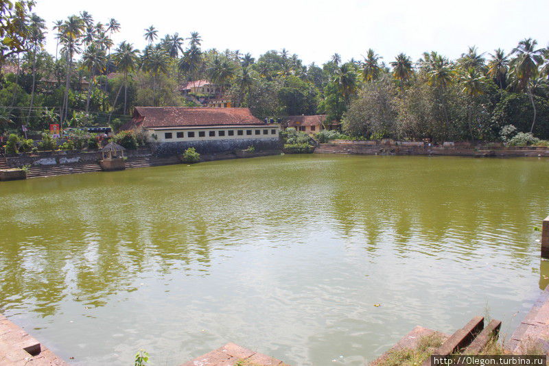 Бассейн у храма, в окружении кокосовых пальм Варкала, Индия