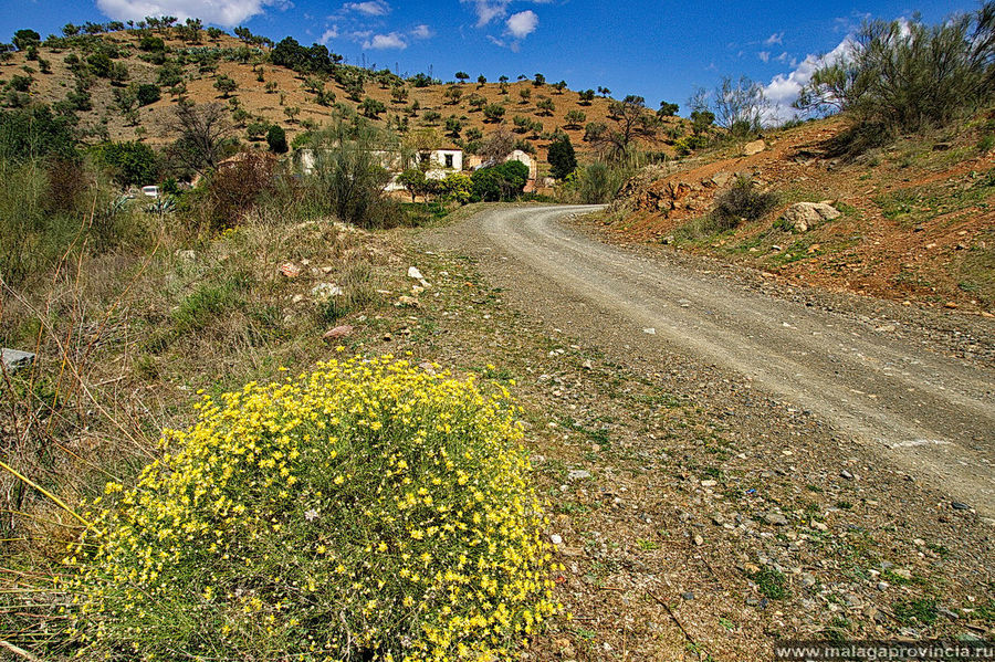 Весенне-летнее царство в горах Малаги Малага, Испания