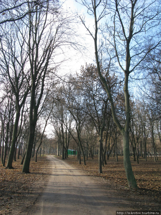 В центре Украины Кропивницкий, Украина