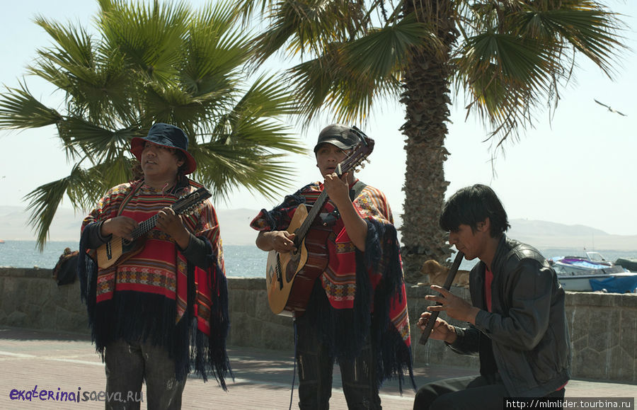 Перуанские музыканты Паракас, Перу