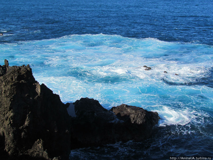 Мадейра, наконец то океанический остров! Фуншал, Португалия