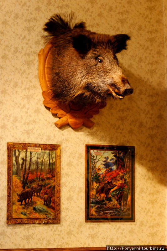 Какое сказочное свинство! (музей свиньи в Штутгарте) Штутгарт, Германия