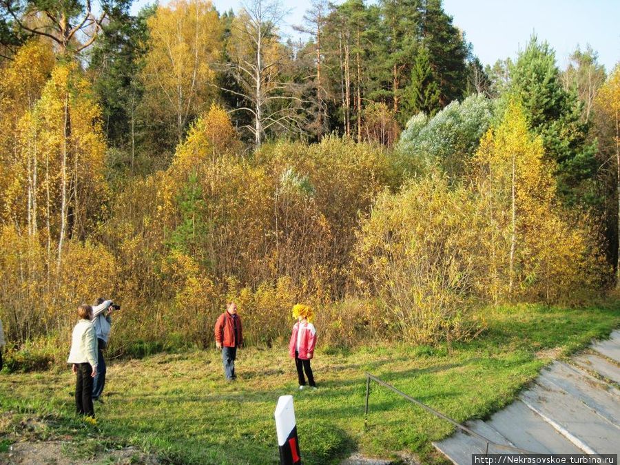 Окрестности реки Россия