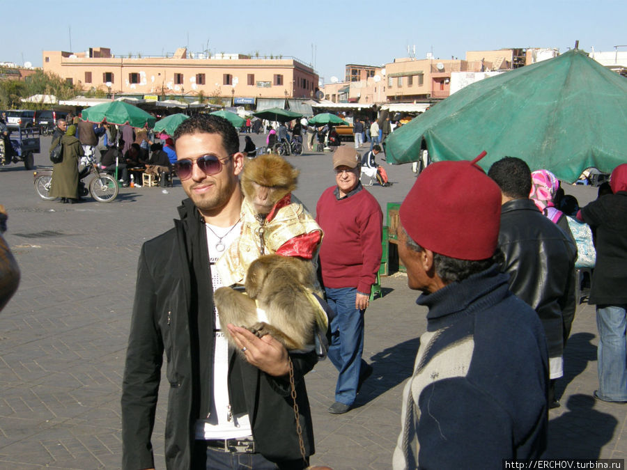 Город,  давший название стране Марракеш, Марокко