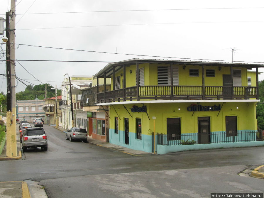 Разноцветие Карибской провинции Лахас, Пуэрто-Рико