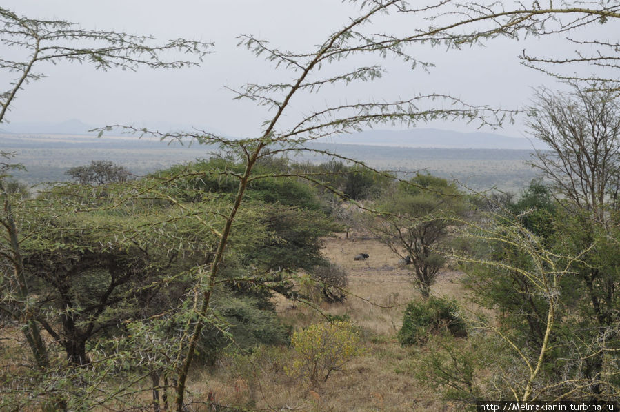 Вид с балкона Серенгети Национальный Парк, Танзания